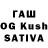 Псилоцибиновые грибы Cubensis Dachshund Doggo