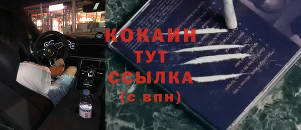 прущие крисы Бородино