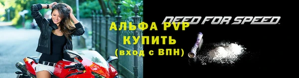 прущие крисы Бородино