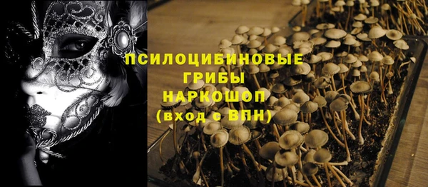 прущие крисы Бородино