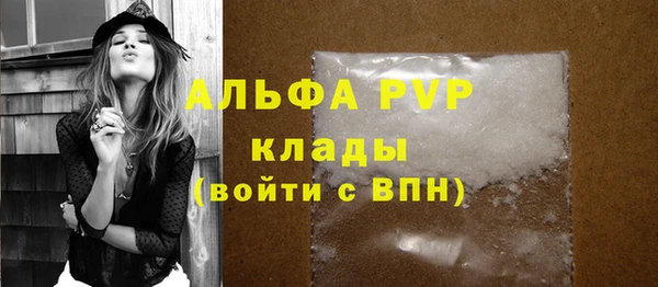 прущие крисы Бородино