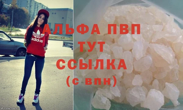 прущие крисы Бородино